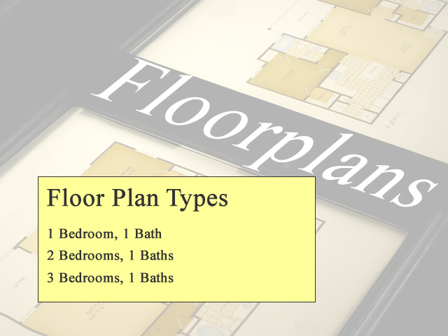Floor Plan Types